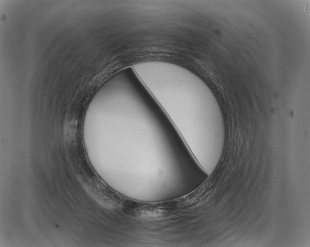 X0000087620263200704271144