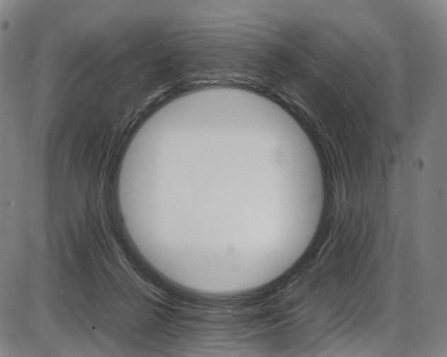 X0000087620264200704271144