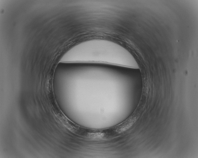 X0000087620266200704271144