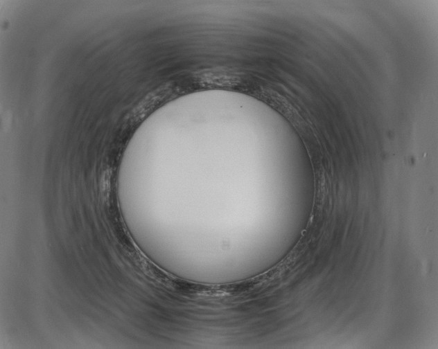 X0000087620271200704271144