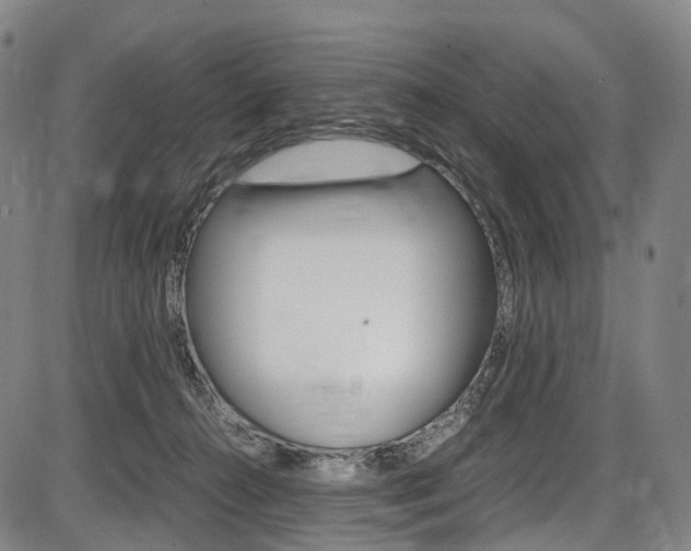 X0000087620272200704271144