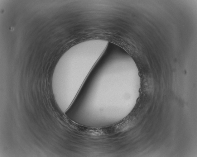 X0000087620275200704271144