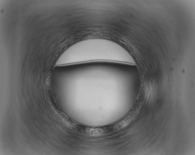 X0000087620277200704271144