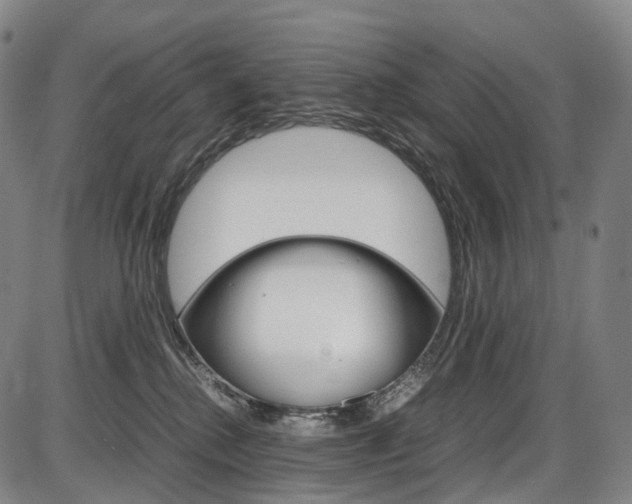 X0000087620280200704271144