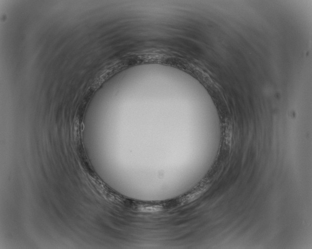 X0000087620283200704271144