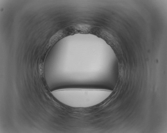 X0000087620285200704271144