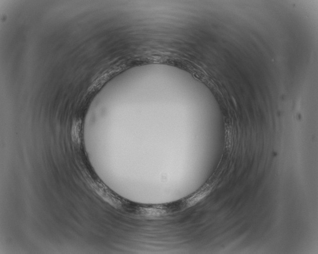 X0000087620286200704271144