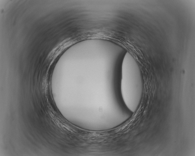 X0000087620290200704271144