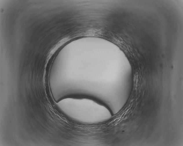 X0000087620292200704271144