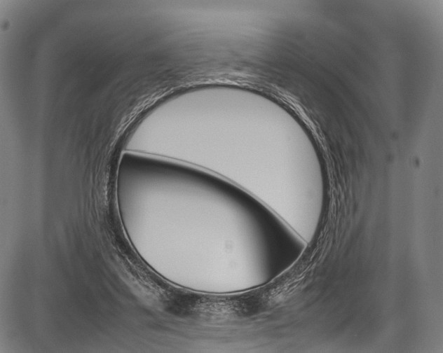 X0000087620299200704271144