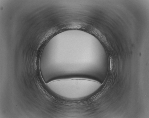 X0000087620300200704271144