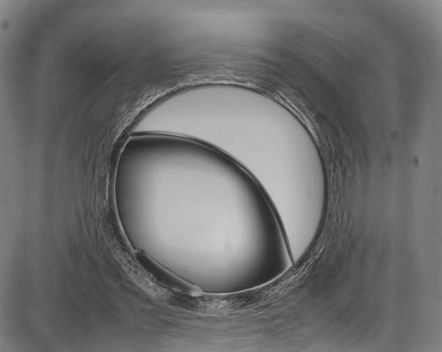 X0000087620301200704271144