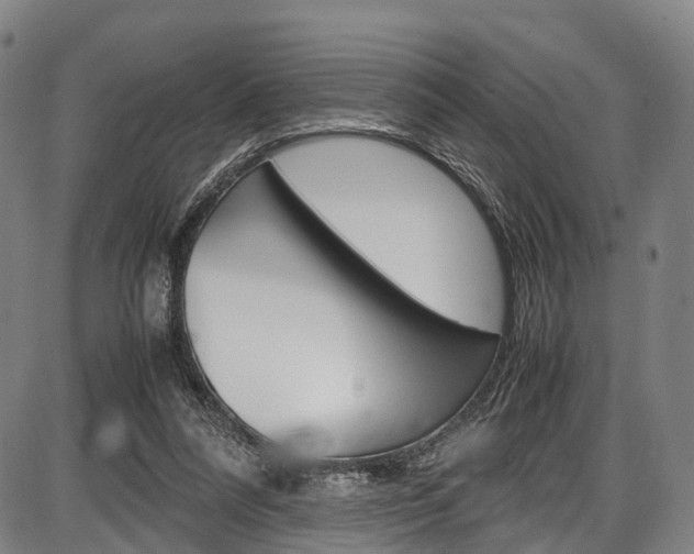 X0000087620304200704271143