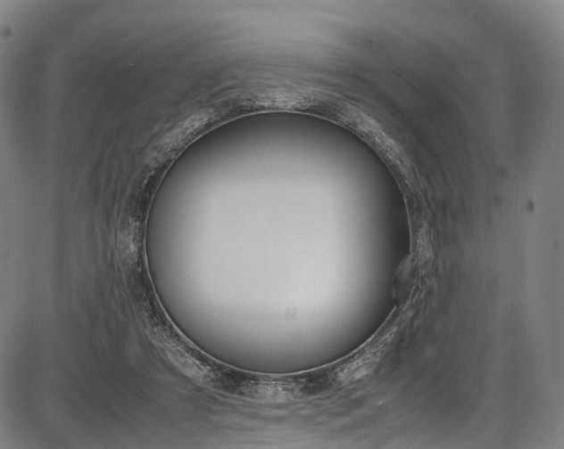 X0000087620305200704271143