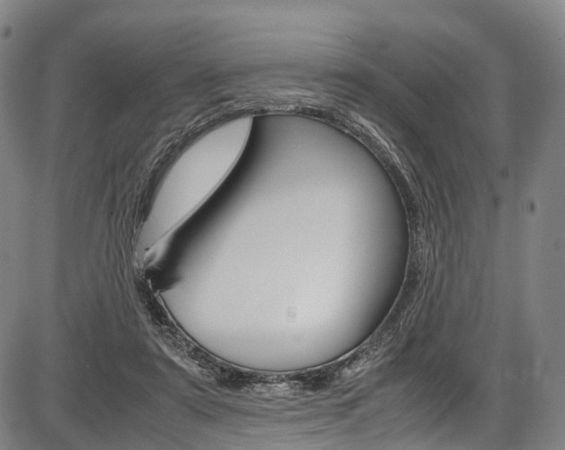 X0000087620307200704271143