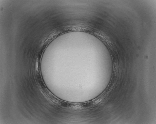 X0000087620310200704271143