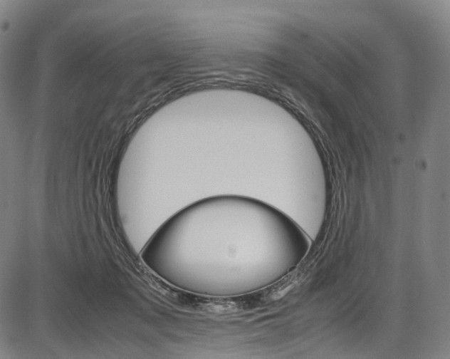 X0000087620317200704271143