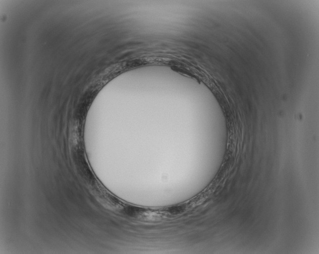 X0000087620323200704271143