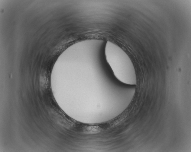 X0000087620324200704271143