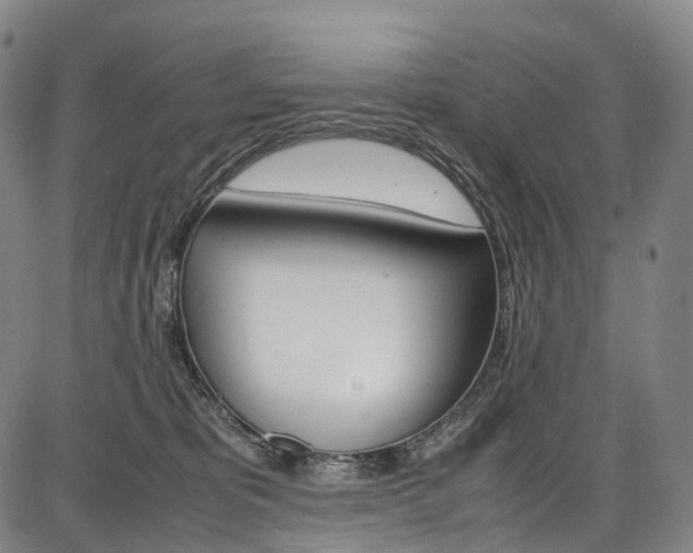 X0000087620325200704271143