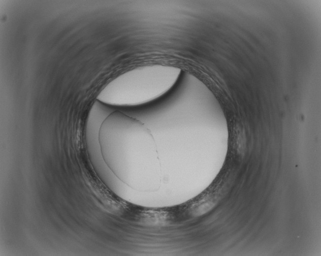 X0000087620328200704271143