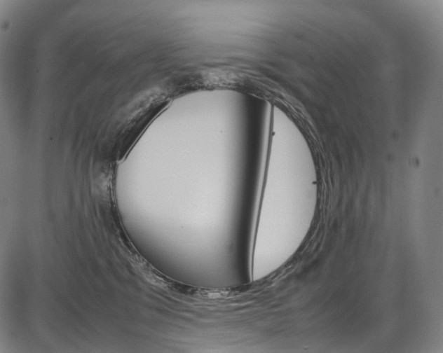 X0000087620329200704271143