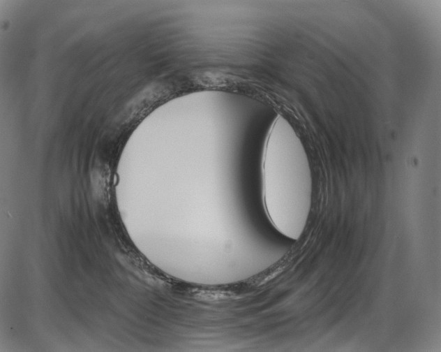 X0000087620332200704271143