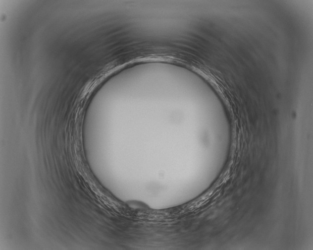 X0000087620337200704271142