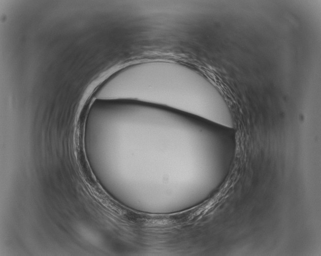 X0000087620342200704271142