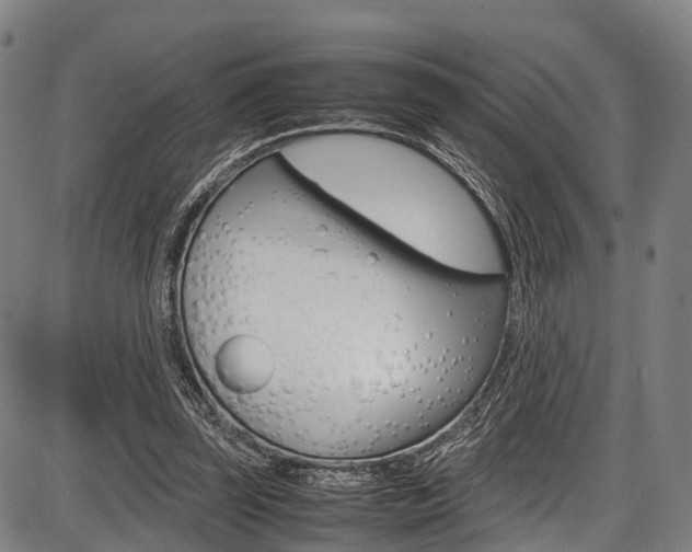 X0000087620347200704271142