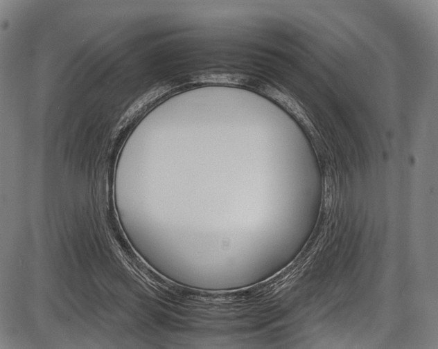 X0000087620349200704271142