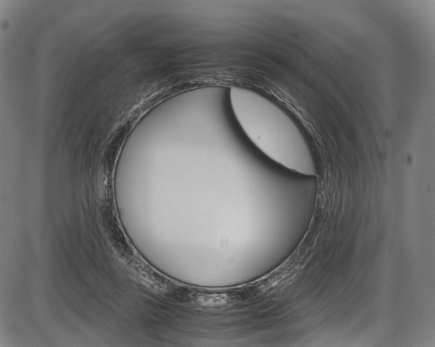 X0000087620355200704271142