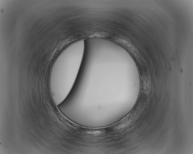 X0000087620357200704271143