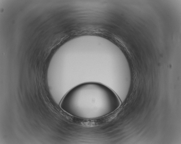 X0000087620362200704271143