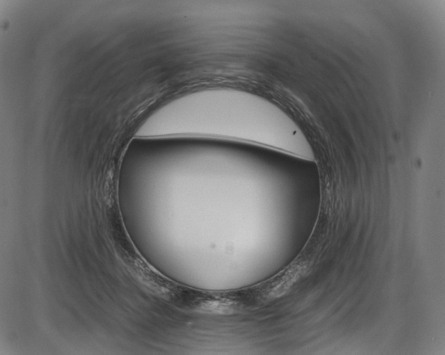 X0000087620364200704271143