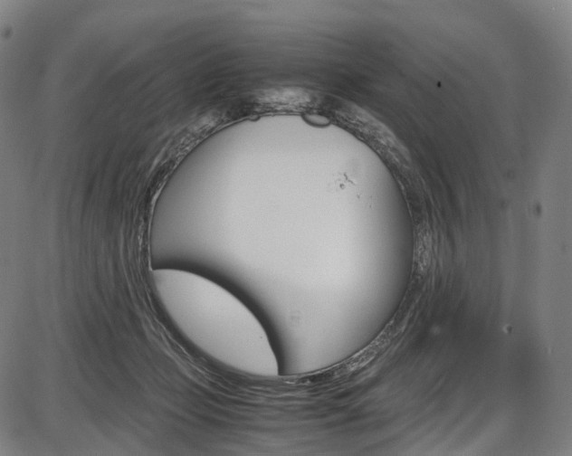 X0000087620365200704271143