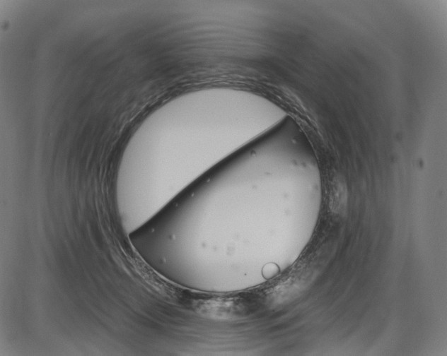X0000087620366200704271143