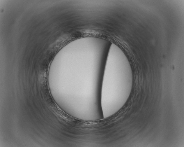 X0000087620369200704271143