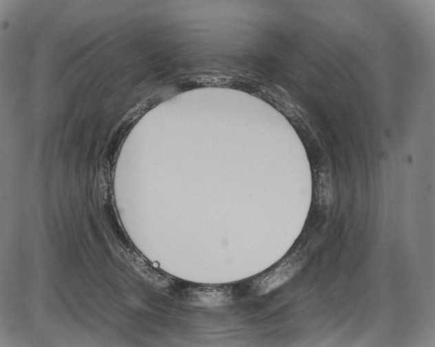 X0000087620370200704271143