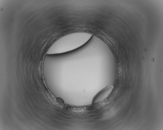 X0000087620373200704271143