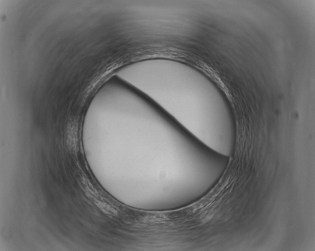 X0000087620386200704271142