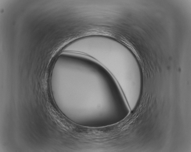 X0000087620387200704271142