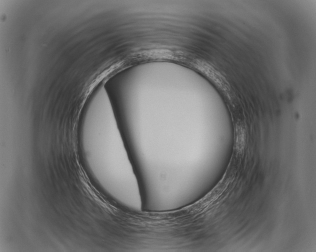 X0000087620390200704271142