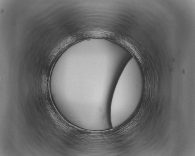 X0000087620394200704271142