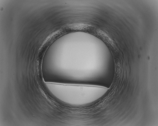 X0000087620400200704271142