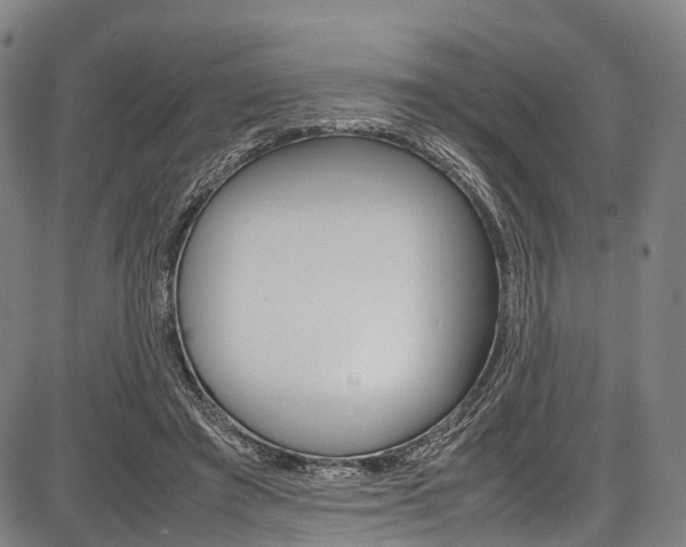 X0000087620401200704271142