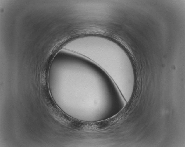X0000087620403200704271142