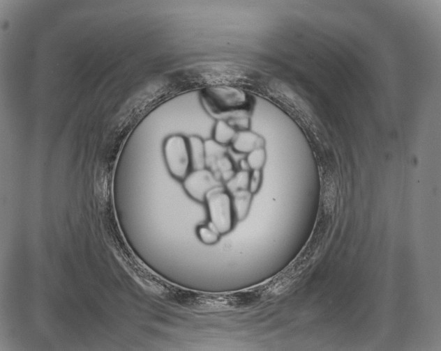 X0000087620405200704271142