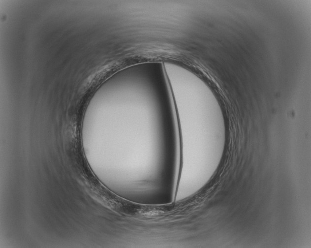 X0000087620407200704271142