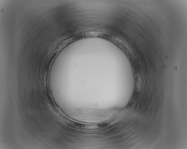 X0000087620410200704271142